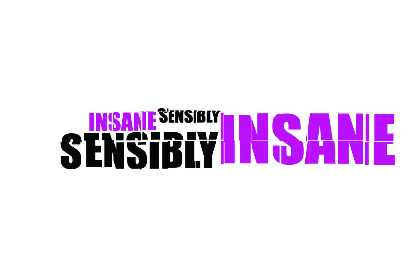 Sensibly Insane Logo